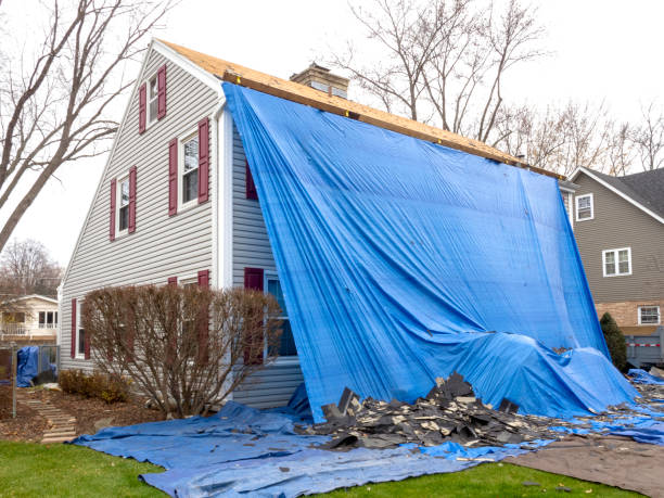 Best Fiber Cement Siding Installation  in Fraser, MI