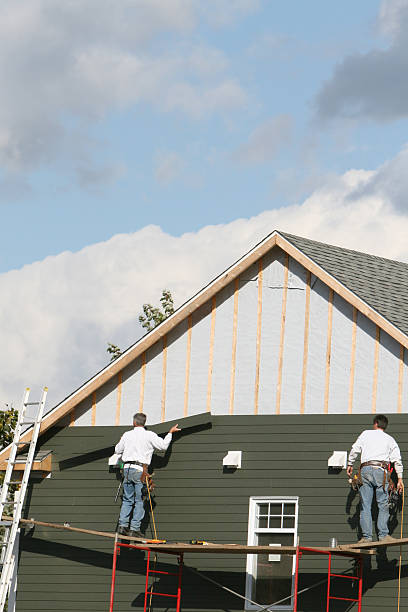 Affordable Siding Repair and Maintenance Services in Fraser, MI